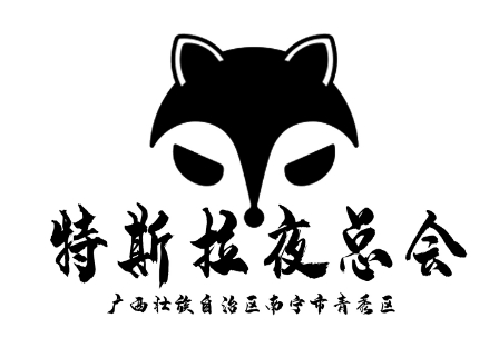 南宁特斯拉夜总会